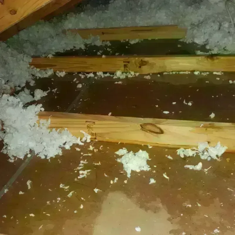 Attic Water Damage in Norco, LA