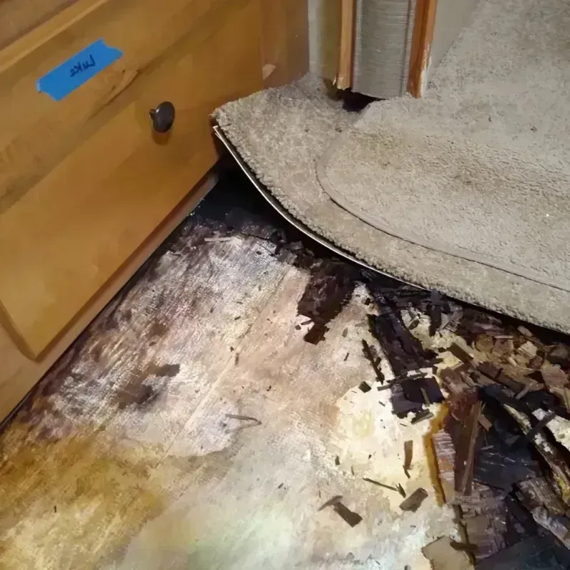 Wood Floor Water Damage in Norco, LA